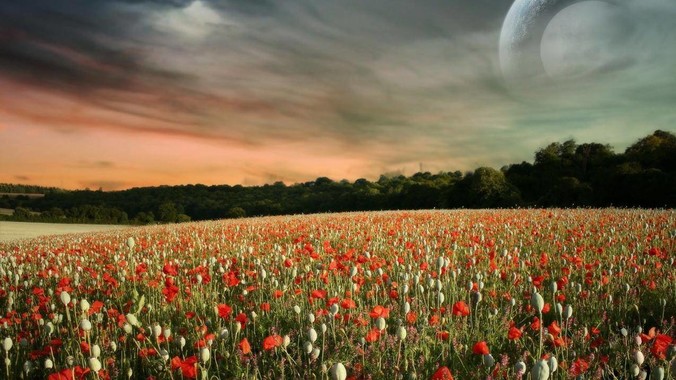 IT行业夫妻双双被裁,想去新西兰闯一闯可以吗?